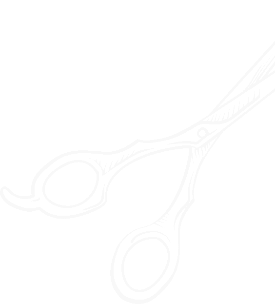 coco salon background image